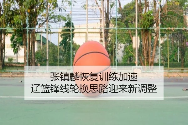 张镇麟恢复训练加速 辽篮锋线轮换思路迎来新调整