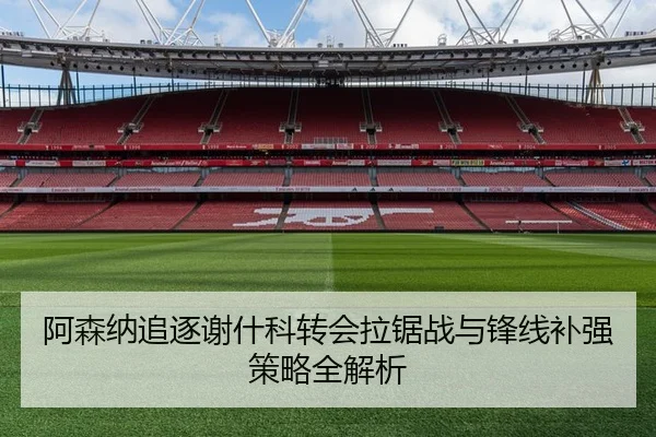 阿森纳追逐谢什科转会拉锯战与锋线补强策略全解析